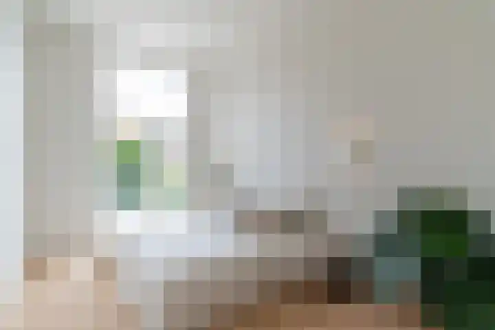 Raamweg 5 E Den Haag thumbnail 8