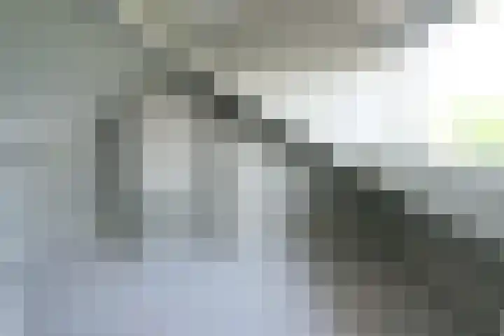 Raamweg 59 Tricht thumbnail 14