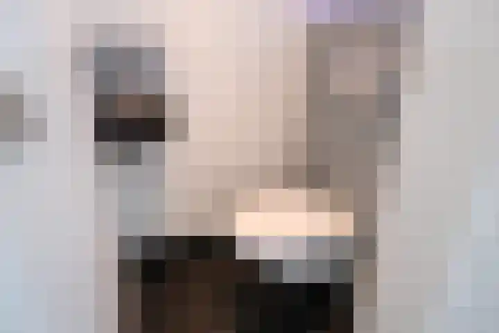Raamweg 59 Tricht thumbnail 6