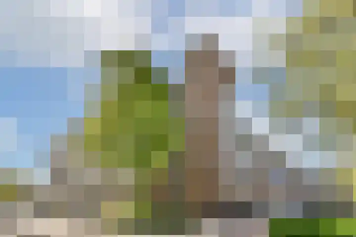 Raaphorst 101 Leiderdorp