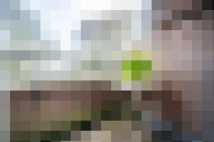 Raaphorst 105 Leiderdorp thumbnail 24