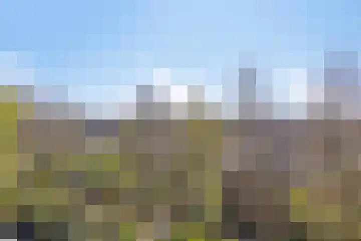 Raaphorst 161 Leiderdorp thumbnail 32