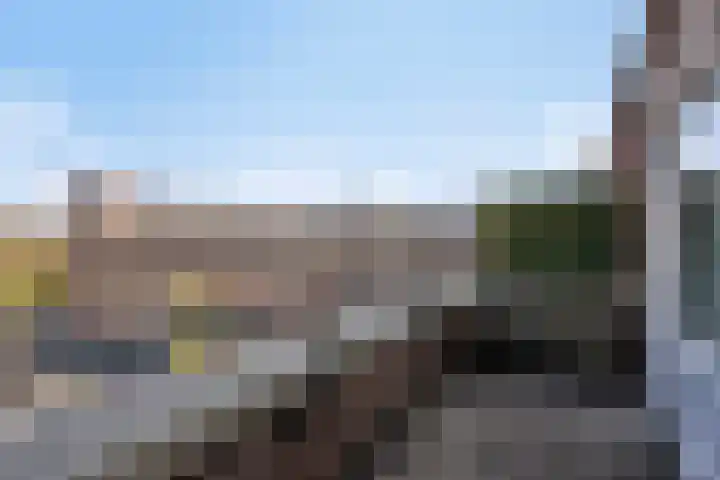 Raaphorst 161 Leiderdorp thumbnail 34