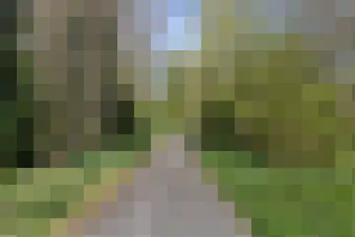 Raaphorst 161 Leiderdorp thumbnail 35