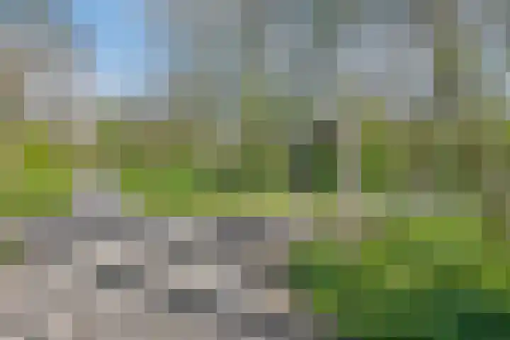 Raaphorst 161 Leiderdorp thumbnail 36
