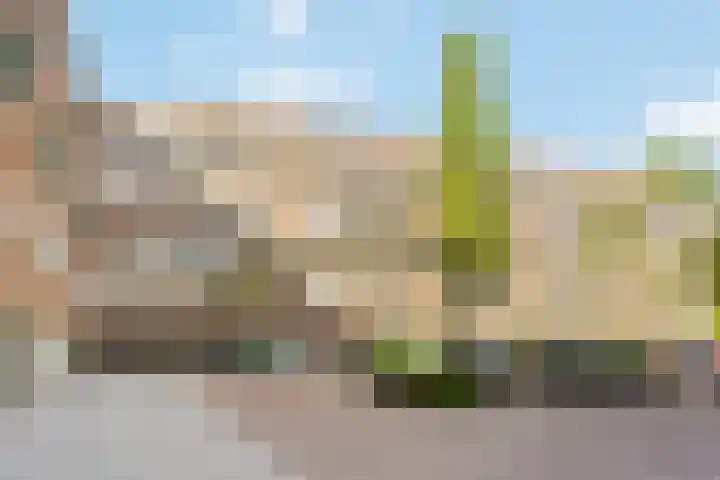 Raaphorst 163 Leiderdorp