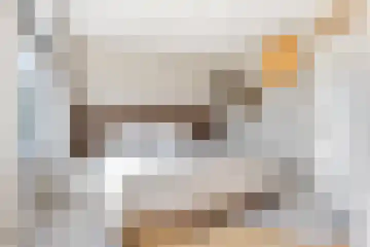 Raaphorst 163 Leiderdorp thumbnail 14