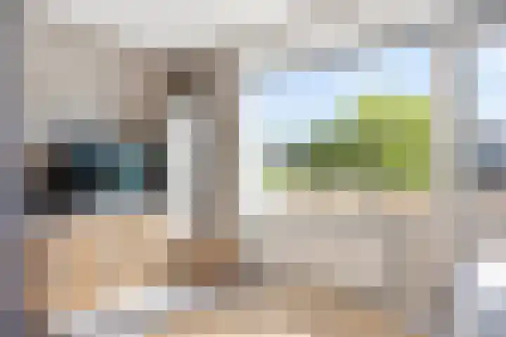 Raaphorst 163 Leiderdorp thumbnail 15
