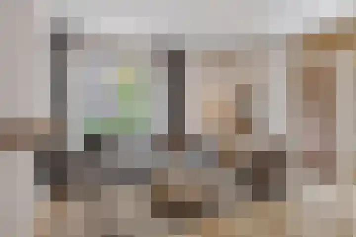 Raaphorst 163 Leiderdorp thumbnail 26