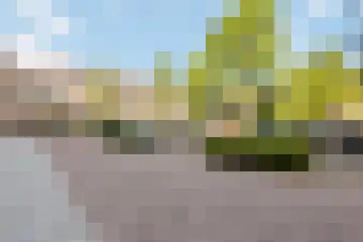 Raaphorst 163 Leiderdorp thumbnail 32