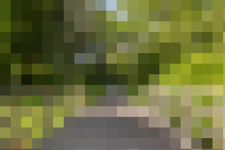 Raaphorst 163 Leiderdorp thumbnail 34