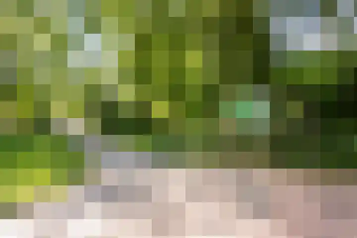 Raaphorst 163 Leiderdorp thumbnail 35