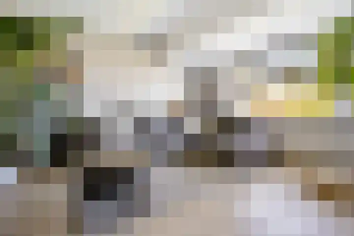 Raaphorst 163 Leiderdorp thumbnail 5