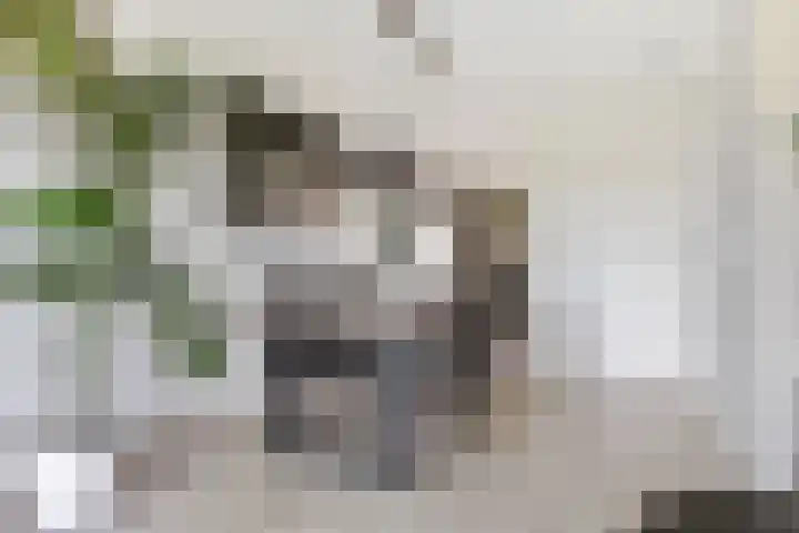 Raaphorst 163 Leiderdorp thumbnail 7