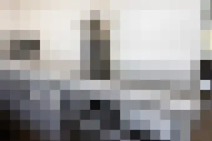 Raaphorst 163 Leiderdorp thumbnail 9