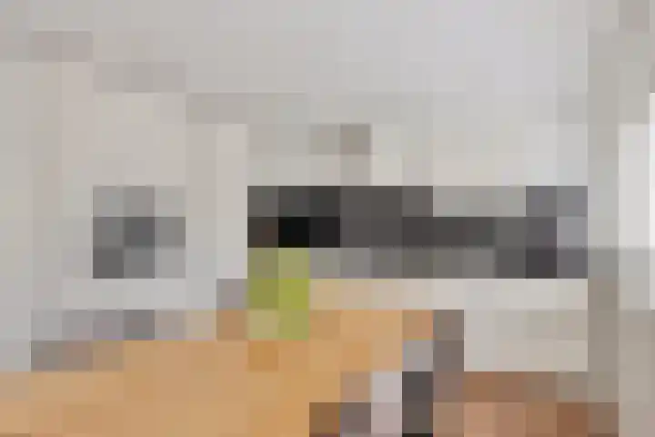 Raaphorst 2 Leiderdorp thumbnail 10
