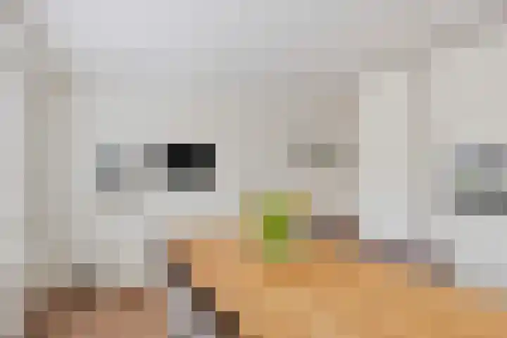 Raaphorst 2 Leiderdorp thumbnail 12