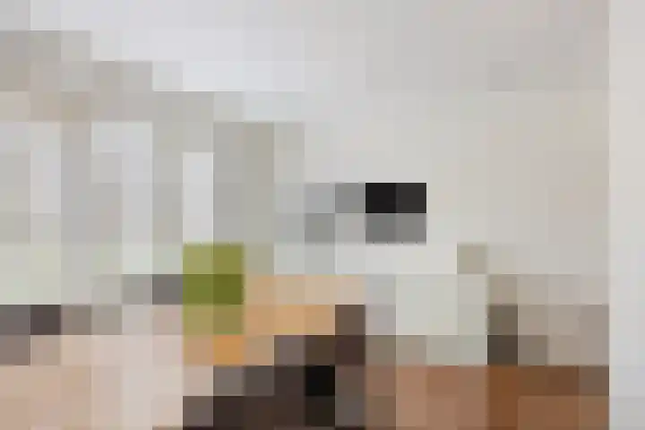Raaphorst 2 Leiderdorp thumbnail 13