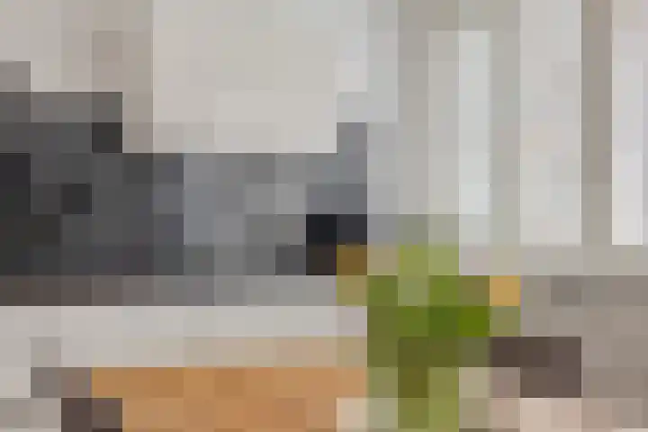 Raaphorst 2 Leiderdorp thumbnail 14