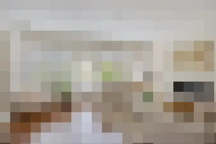 Raaphorst 2 Leiderdorp thumbnail 16