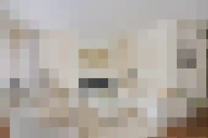 Raaphorst 2 Leiderdorp thumbnail 17