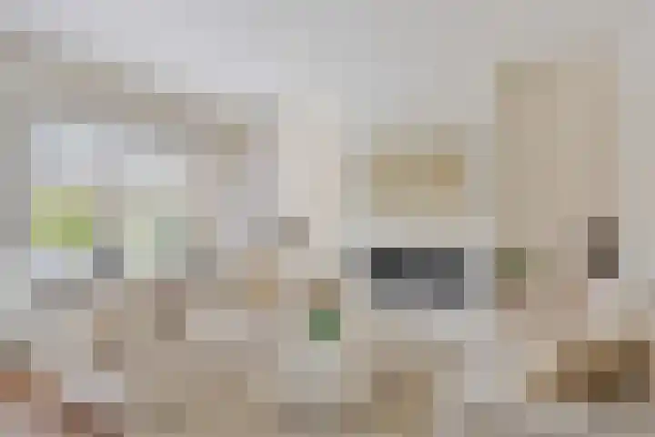 Raaphorst 2 Leiderdorp thumbnail 18