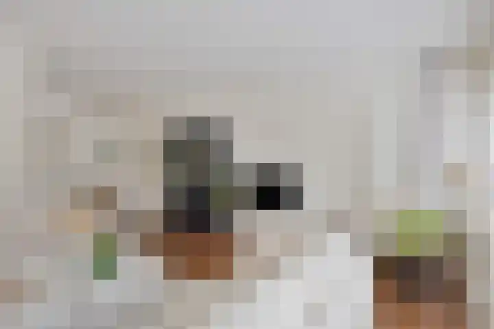 Raaphorst 2 Leiderdorp thumbnail 20