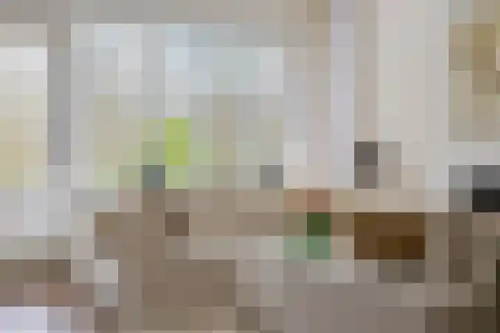 Raaphorst 2 Leiderdorp thumbnail 21