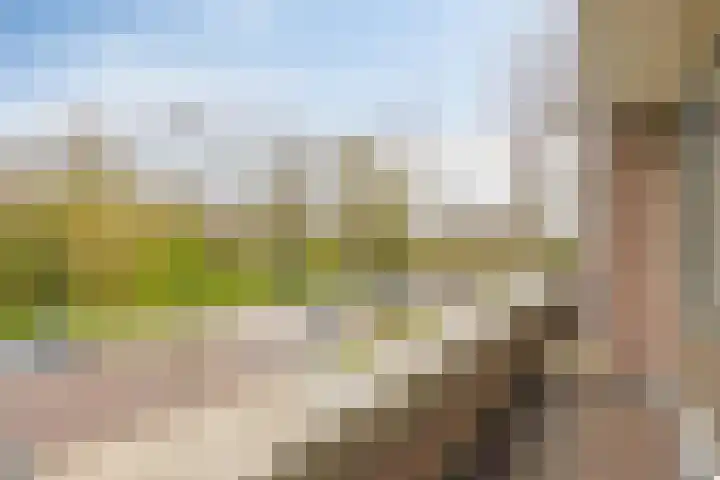 Raaphorst 2 Leiderdorp thumbnail 22