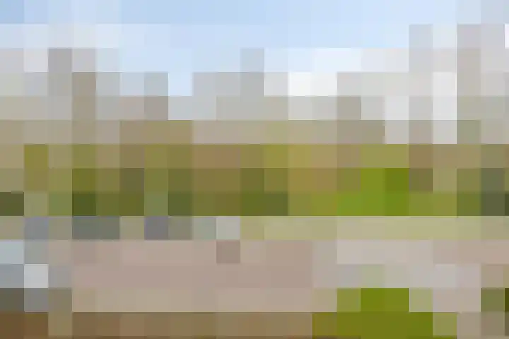 Raaphorst 2 Leiderdorp thumbnail 23