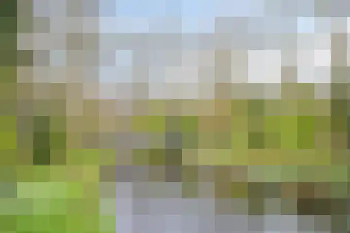 Raaphorst 2 Leiderdorp thumbnail 46