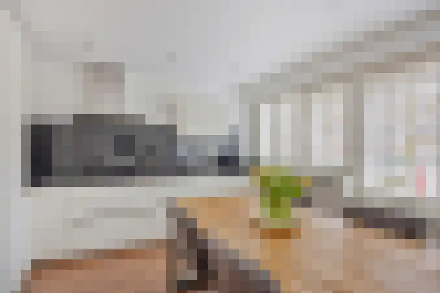Raaphorst 2 Leiderdorp thumbnail 50
