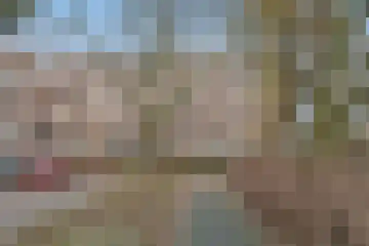 Raaphorst 81 Leiderdorp