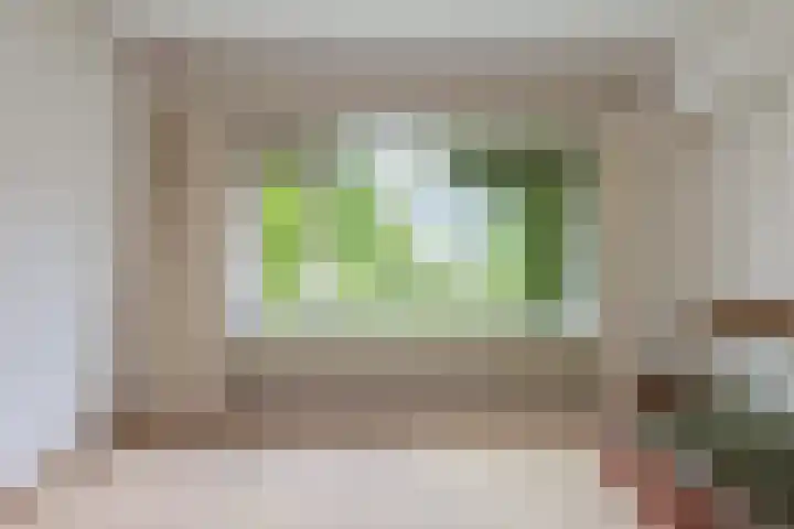 Raapopseweg 2 Arnhem thumbnail 10
