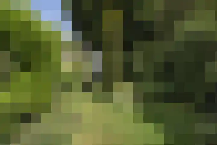 Raapopseweg 2 Arnhem thumbnail 18