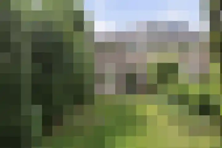 Raapopseweg 2 Arnhem thumbnail 21