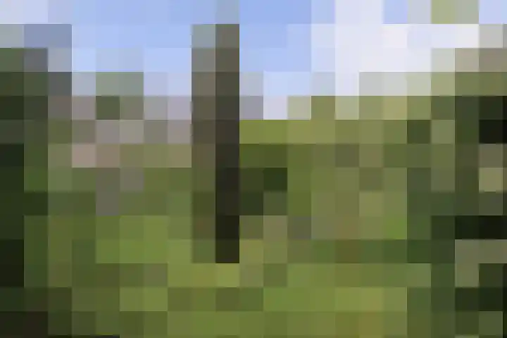Raapopseweg 2 Arnhem thumbnail 23