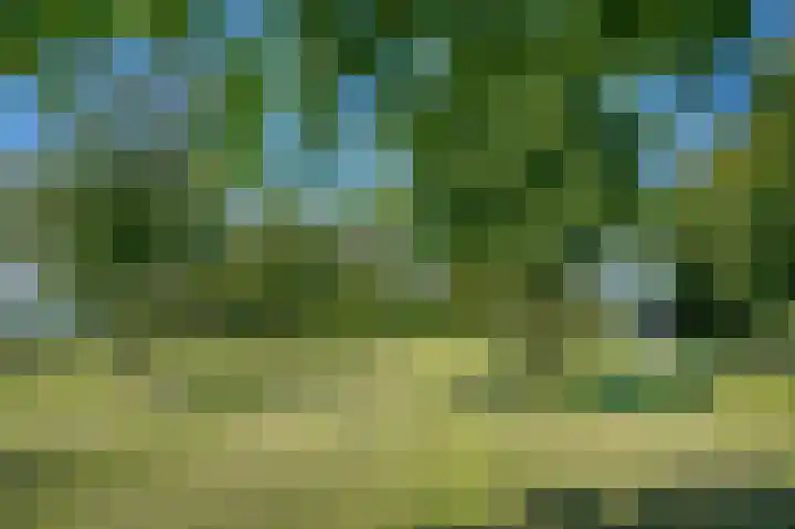 Raar 49 b Meerssen thumbnail 34