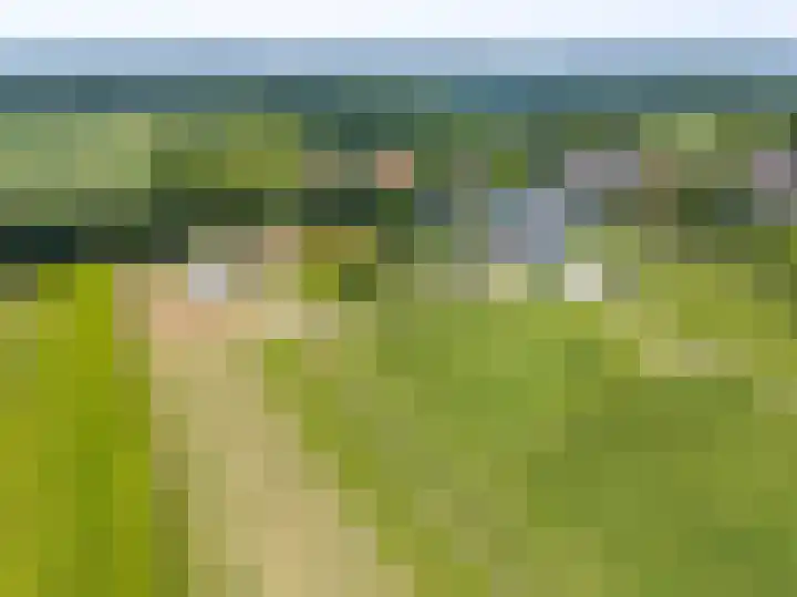 Raar 49 b Meerssen thumbnail 4