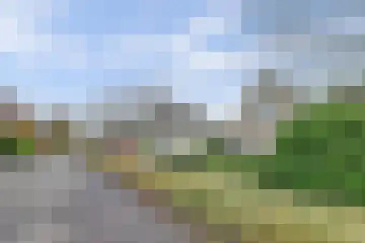 Raardaburren 2 Workum thumbnail 19