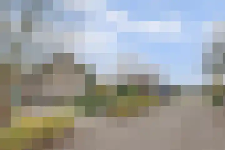 Raardaburren 2 Workum thumbnail 20