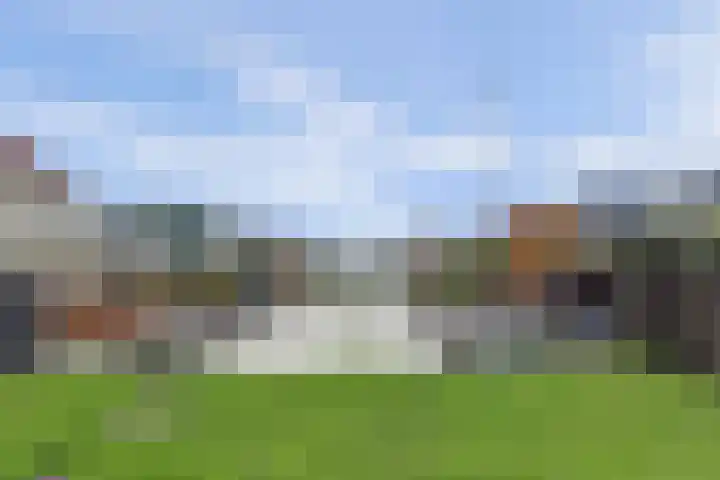 Raardaburren 2 Workum thumbnail 24