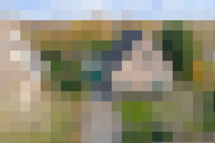 Raardaburren 2 Workum thumbnail 25