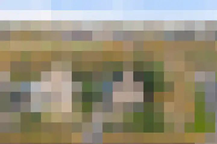 Raardaburren 2 Workum thumbnail 26