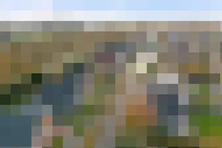 Raardaburren 2 Workum thumbnail 27
