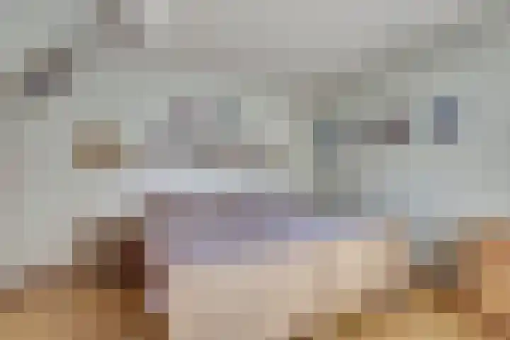 Raardaburren 2 Workum thumbnail 6