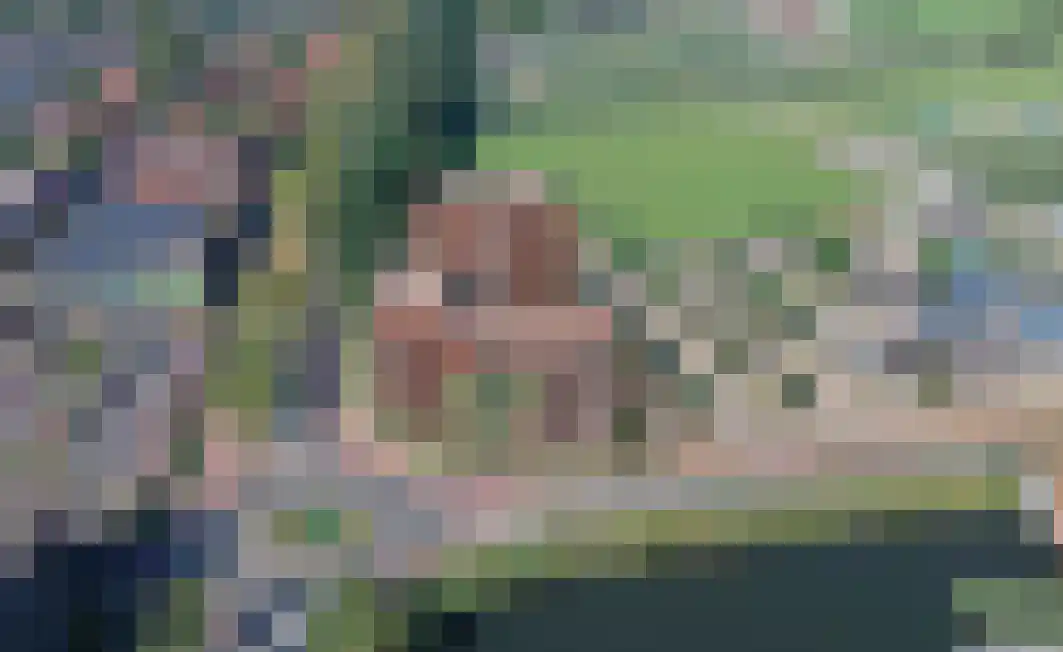 Raardaburren 2 Workum thumbnail 7