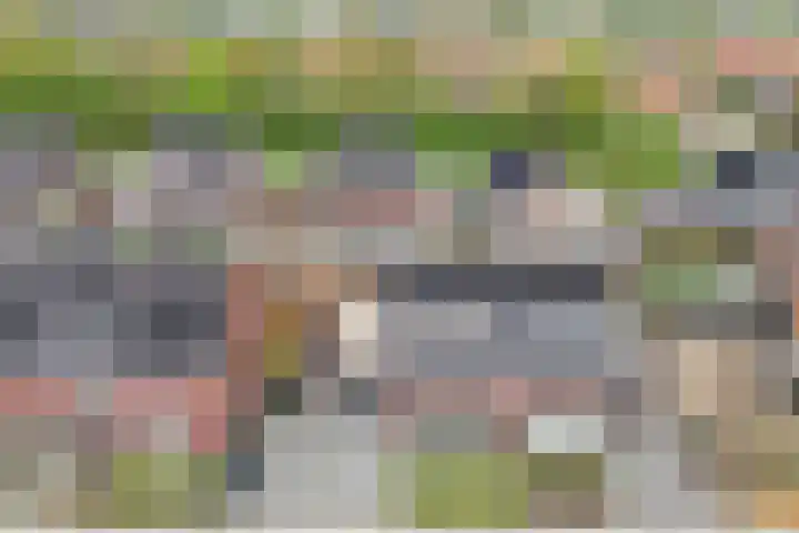 Raatakker 4 Bant thumbnail 50