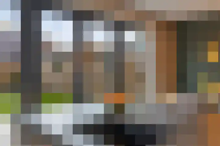 Raatakker 4 Bant thumbnail 8