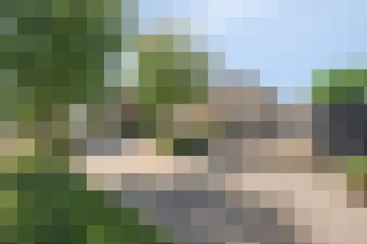 Raath 5 Bingelrade thumbnail 41